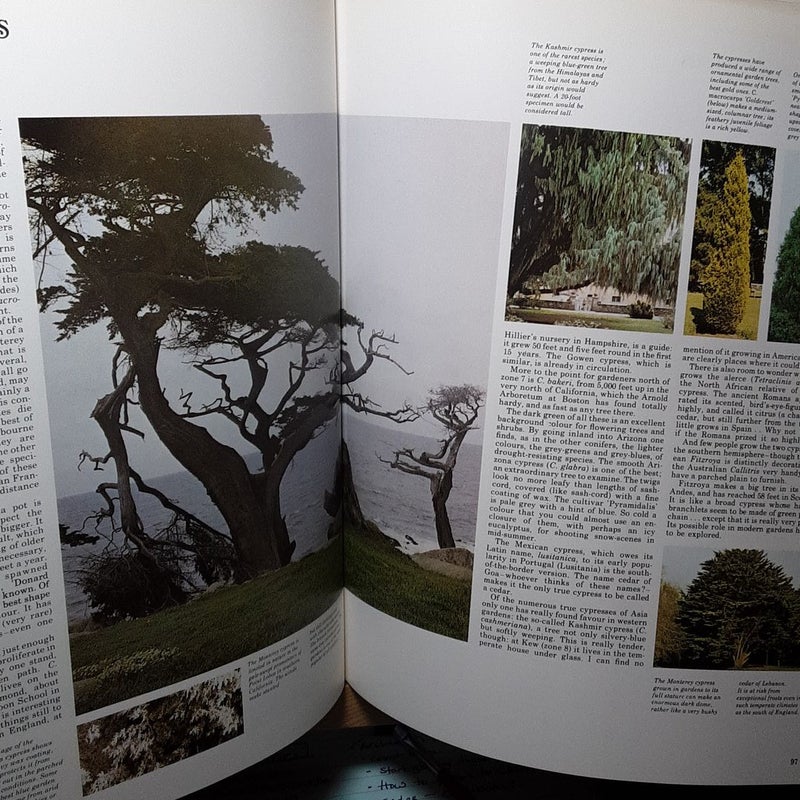 Hugh Johnsons Encyclopedia of Trees