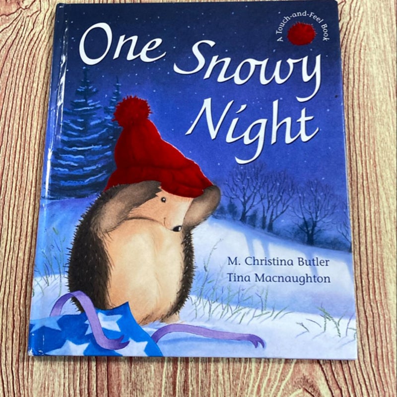 One Snowy Night