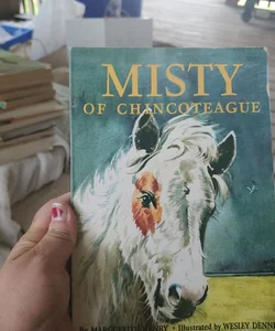 Misty of chin coteague