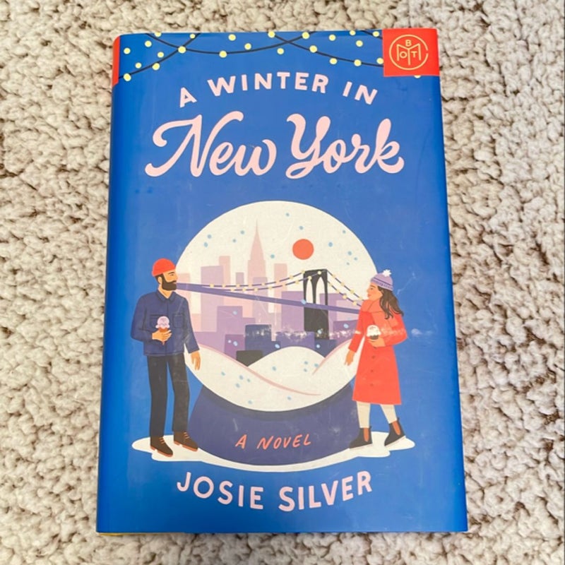 A Winter in New York