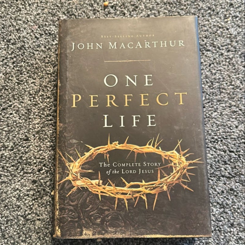 One Perfect Life