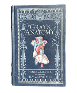 Gray's Anatomy - Leather Bound By Henry Gray Barnes and Noble