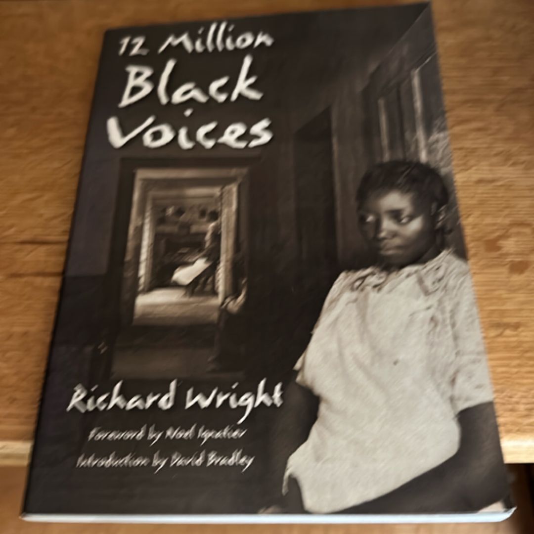12 Million Black Voices