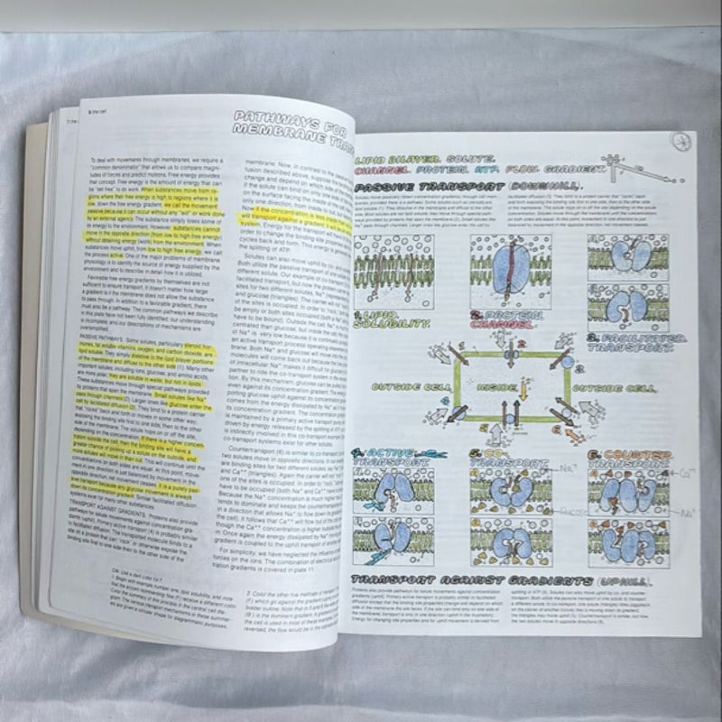 The Physiology Coloring Book