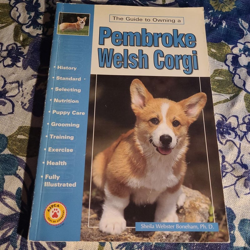 The Guide to Owning a Pembroke Welsh Corgi