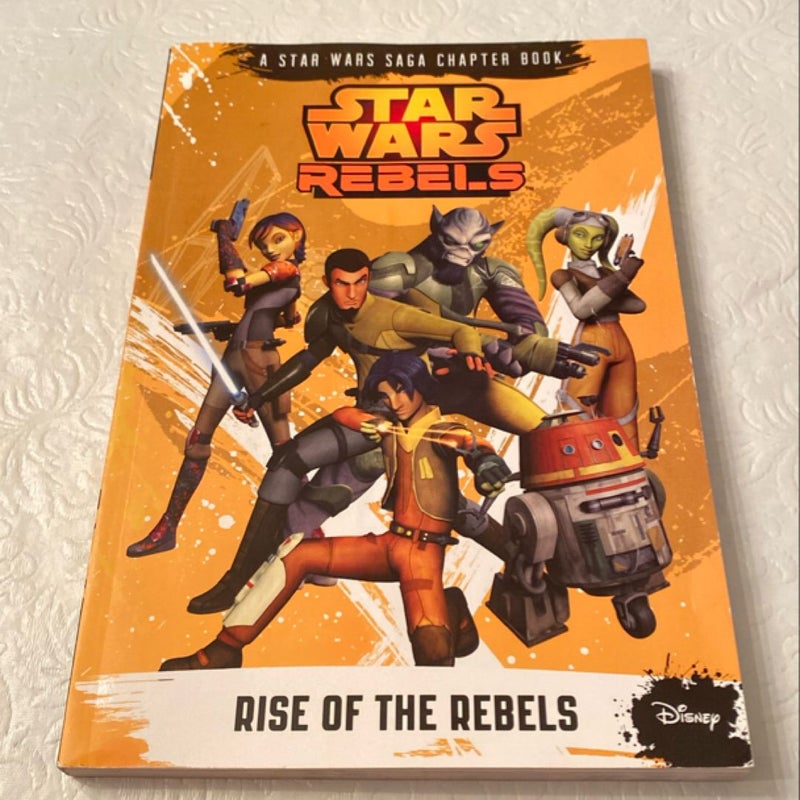 Star Wars Rebels Rise of the Rebels