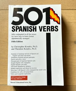 501 Spanish Verbs