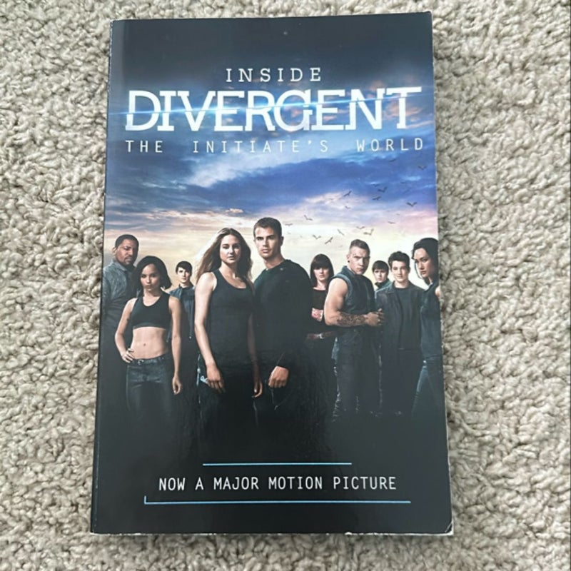 Inside Divergent: the Initiate's World