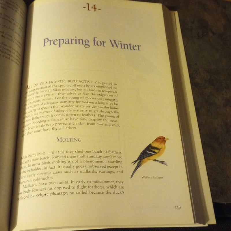 The Backyard BirdLover's Guide