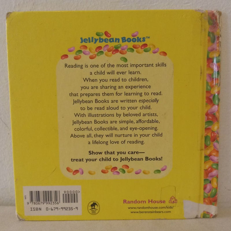 The Berenstain Bears Get the Screamies