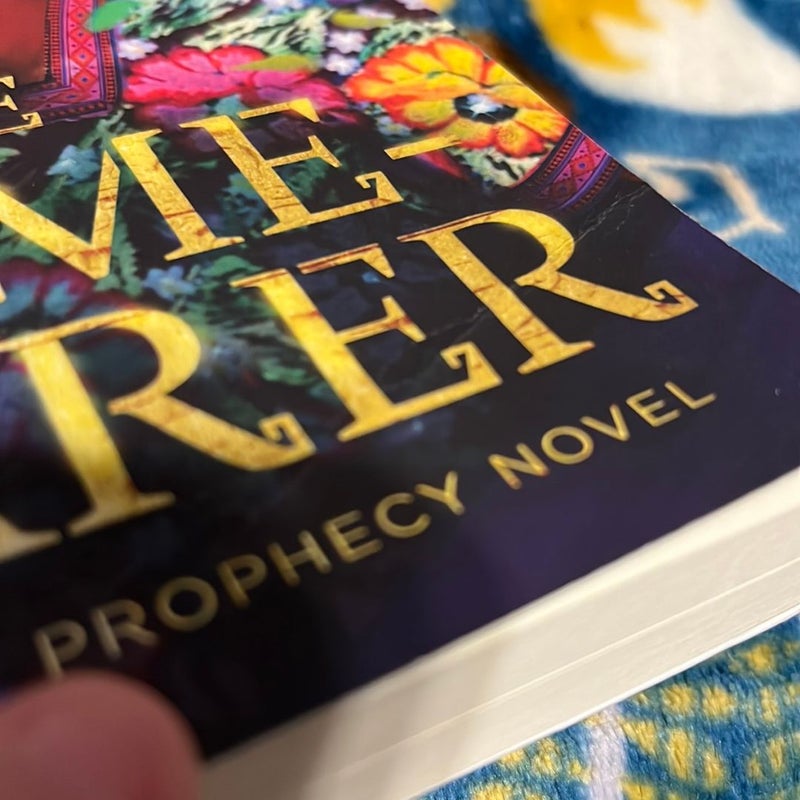 The NameBearer by Natalia Hernandez, Paperback Pangobooks