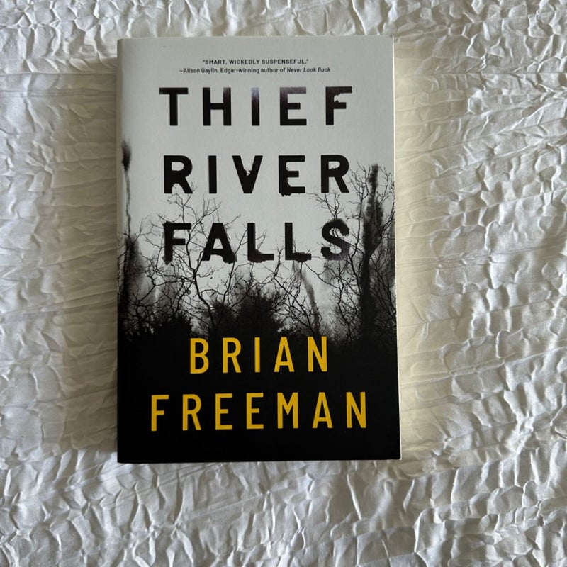 Thief River Falls