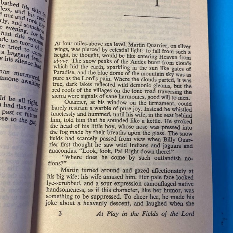 At Play in the Fields of the Lord