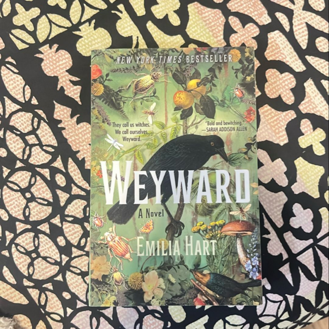 9781250842725 book cover