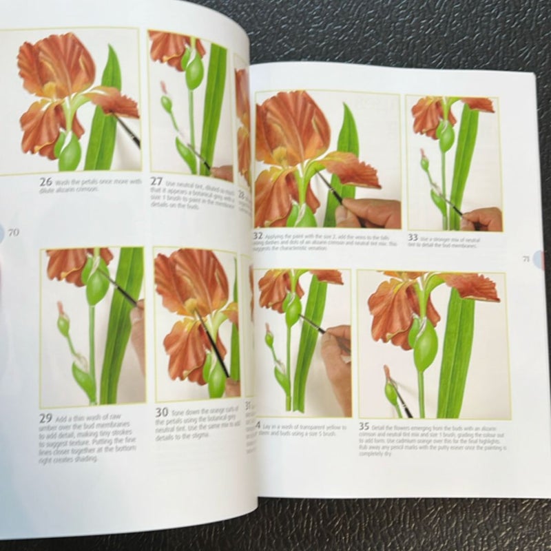 Beginner's Guide to Botanical Flower Painting