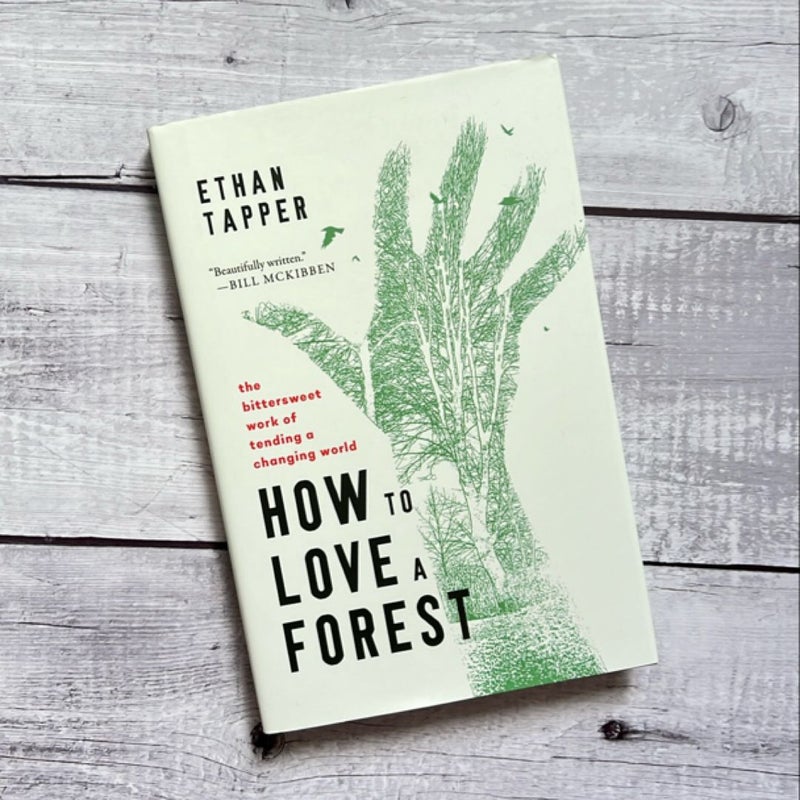 How to Love a Forest