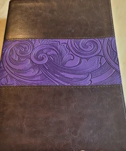 CSB Rainbow Study Bible, Purple LeatherTouch