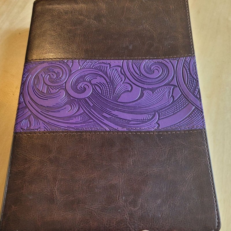 CSB Rainbow Study Bible, Purple LeatherTouch