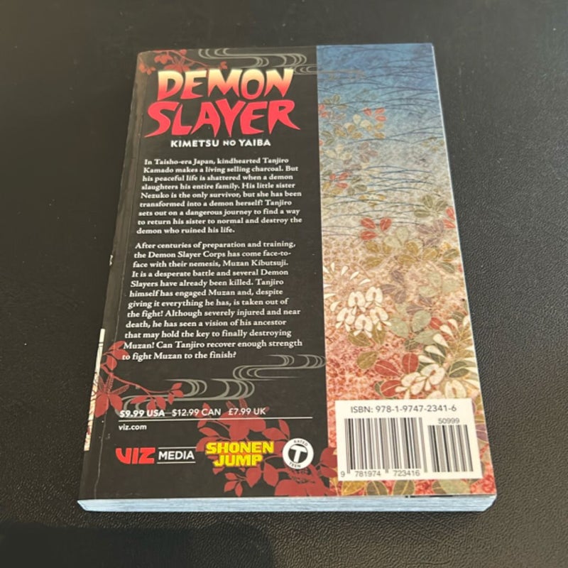 Demon Slayer: Kimetsu No Yaiba, Vol. 22