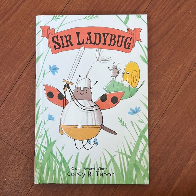 Sir Ladybug