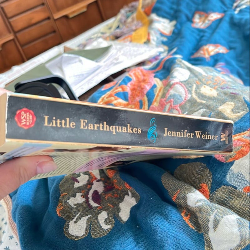 Little Earthquakes