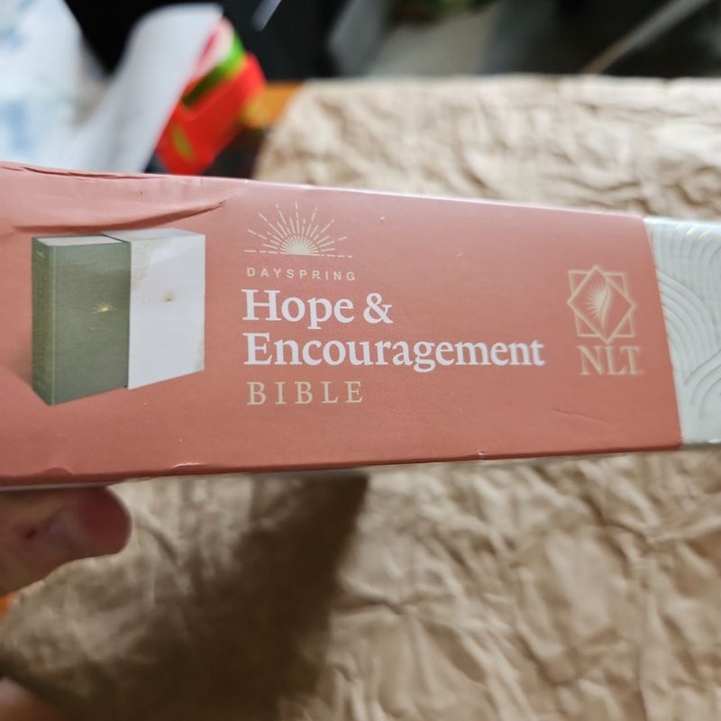NLT DaySpring Hope and Encouragement Bible (Hardcover Deluxe, Seafoam Green)