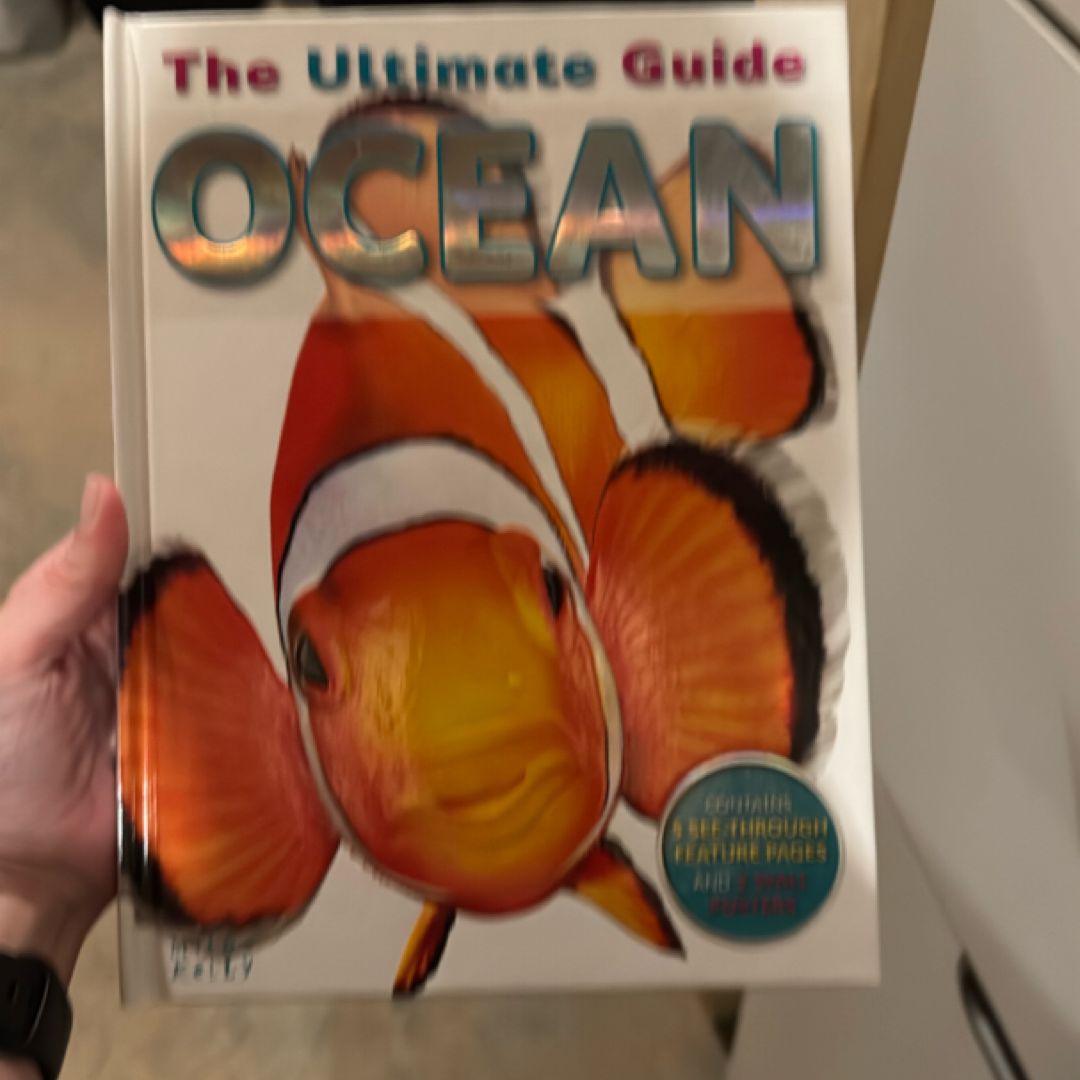 Ultimate Guide - Ocean