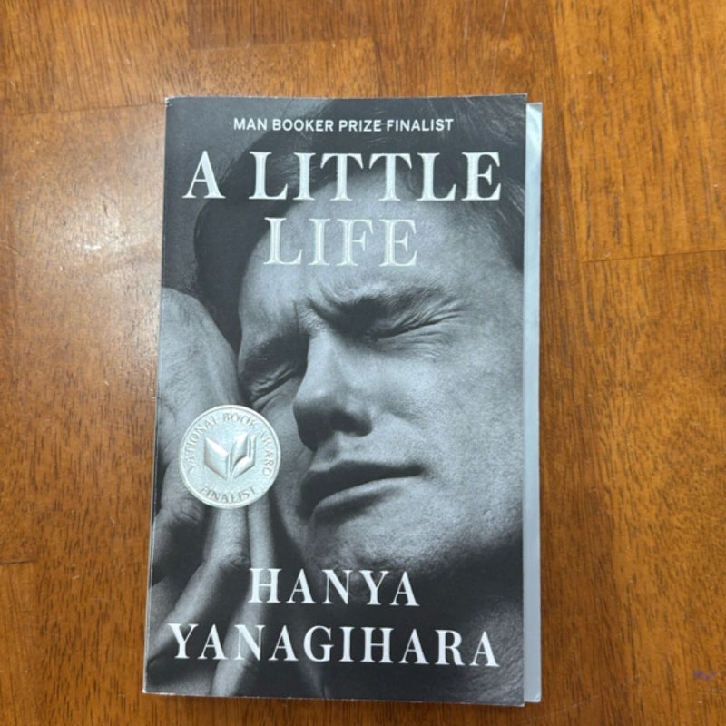 A Little Life