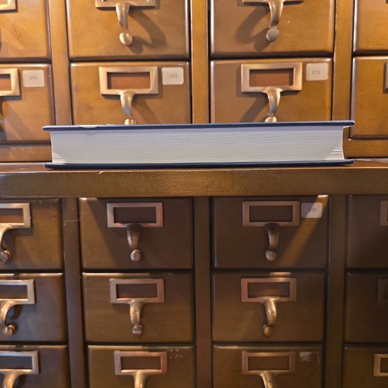 The Night She Disappeared