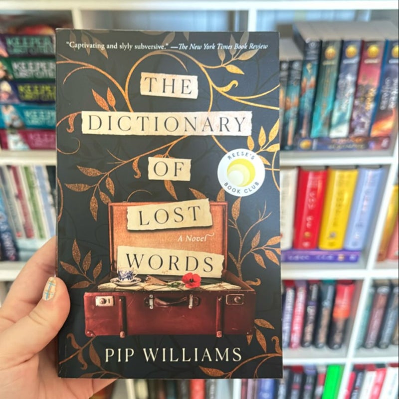 The Dictionary of Lost Words