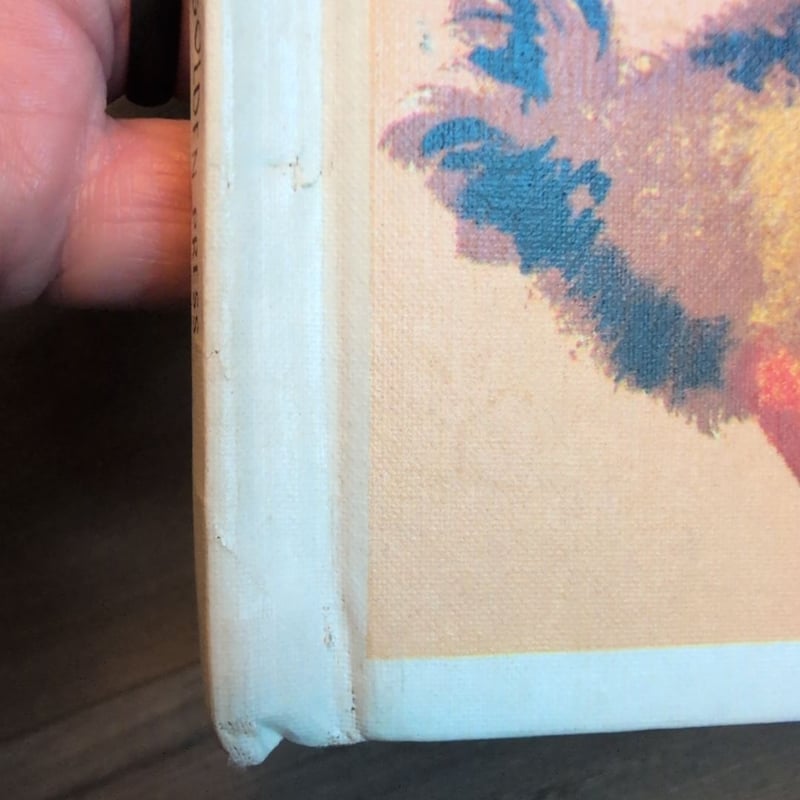 A Pere Castor Book, Ploof The Little Wild Duck