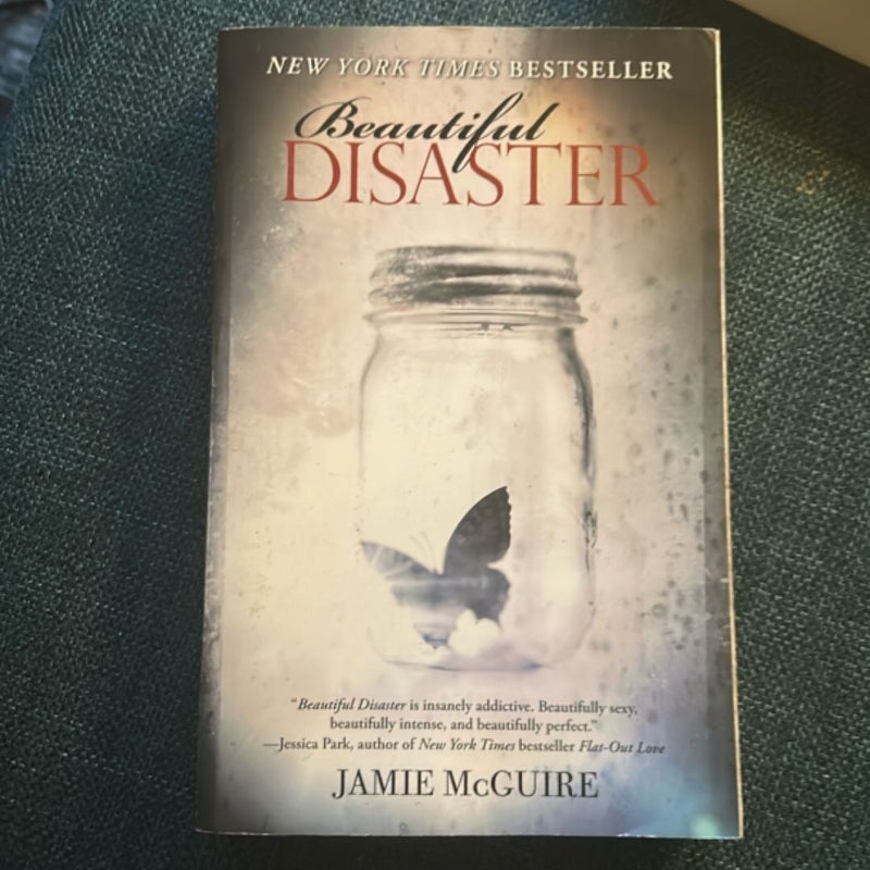 Beautiful Disaster