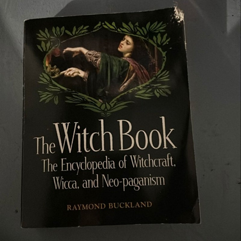 The Witch Book