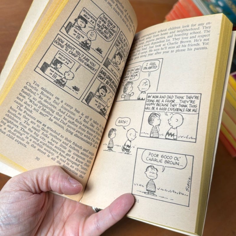 What’s It All About, Charlie Brown?