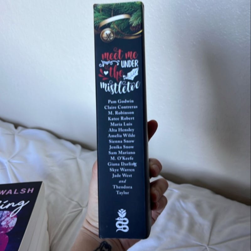 Meet Me under the Mistletoe