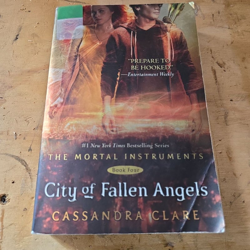 City of Fallen Angels