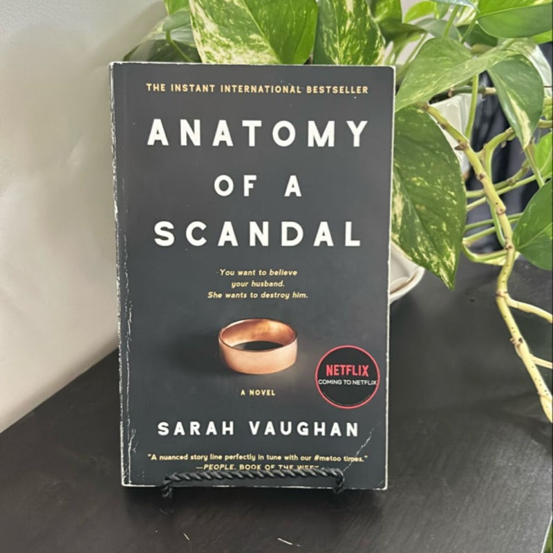 Anatomy of a Scandal