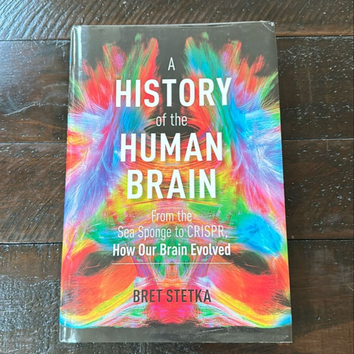 A History of the Human Brain by Bret Stetka