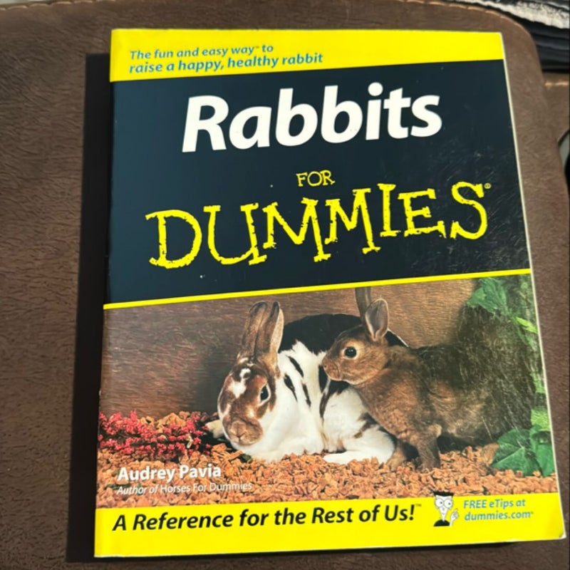 Rabbits for Dummies