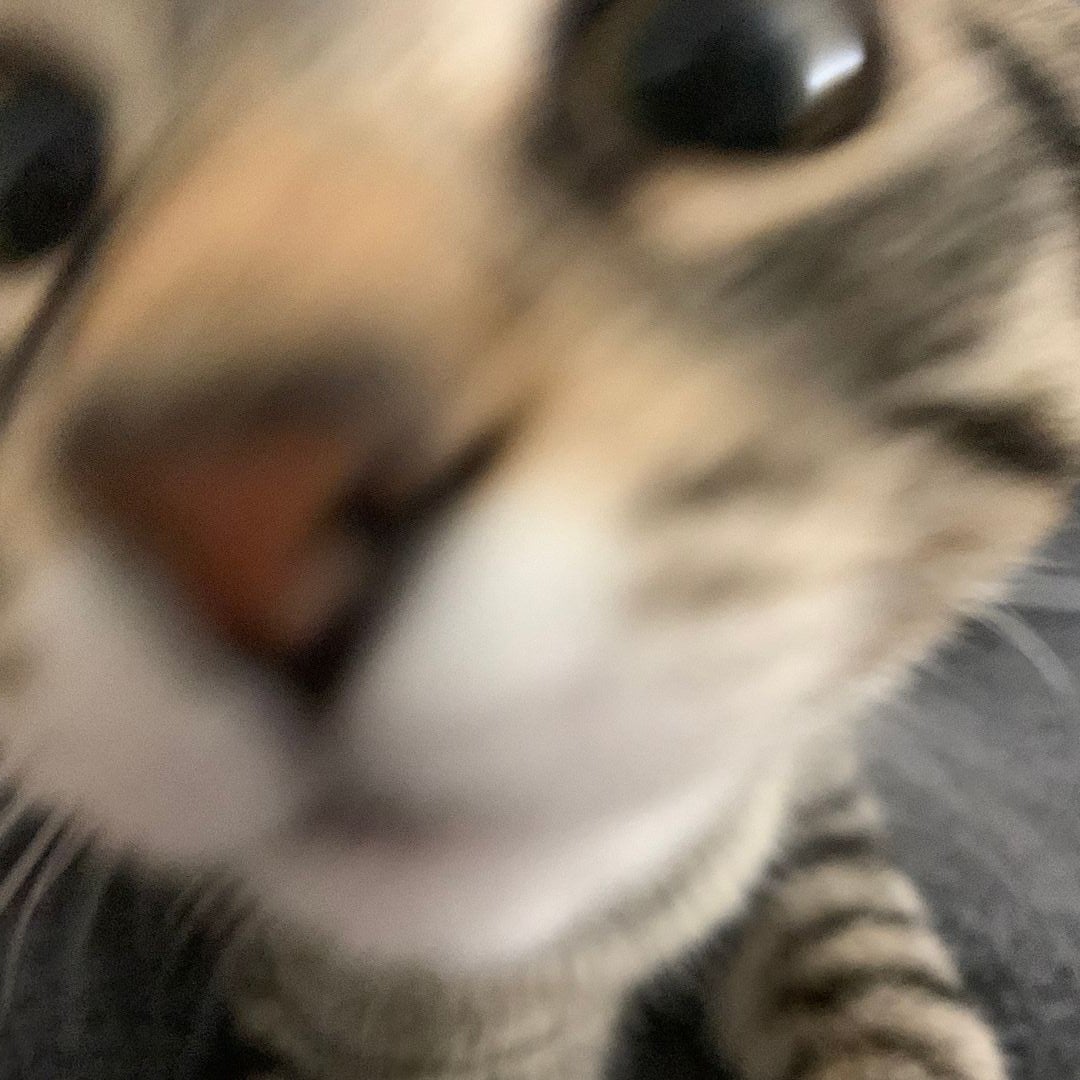 Katie