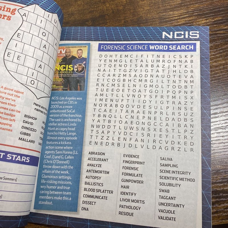 TV Guide Magazine Puzzler