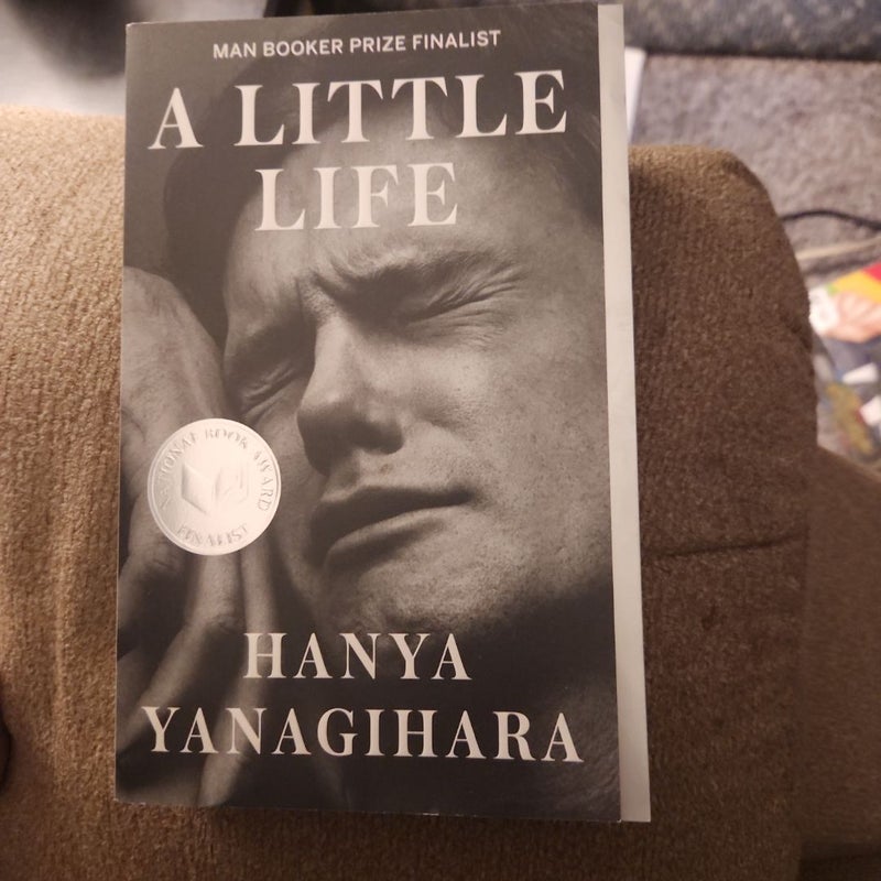 A Little Life