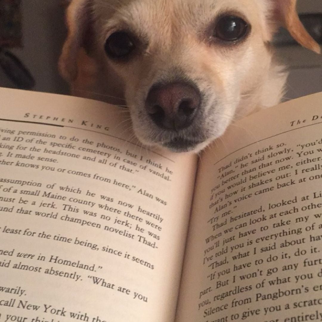 @books_with_shell