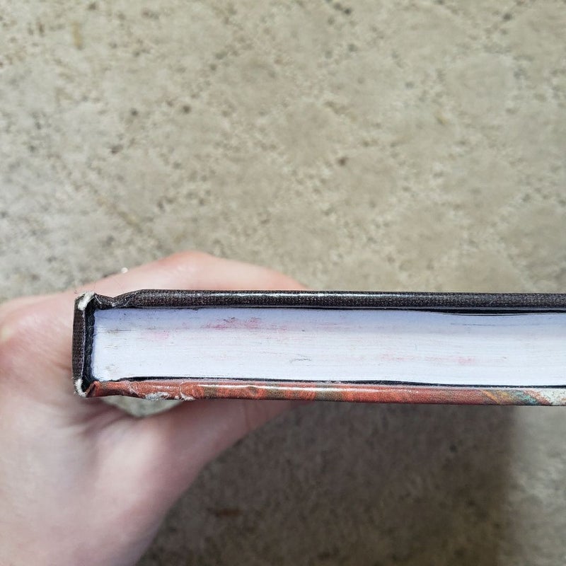 A Series of Unfortunate Events: The Blank Book