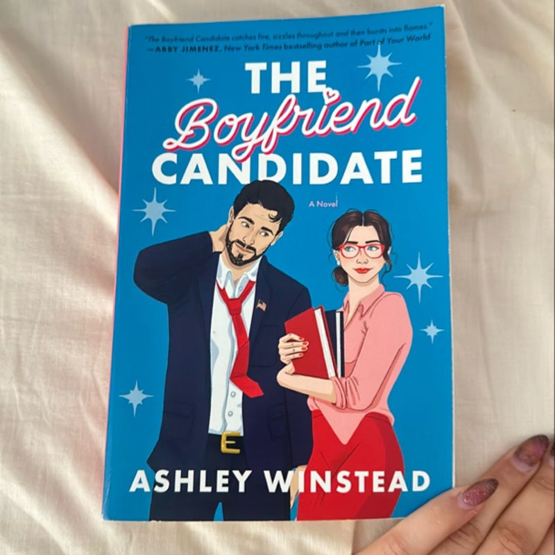 The Boyfriend Candidate