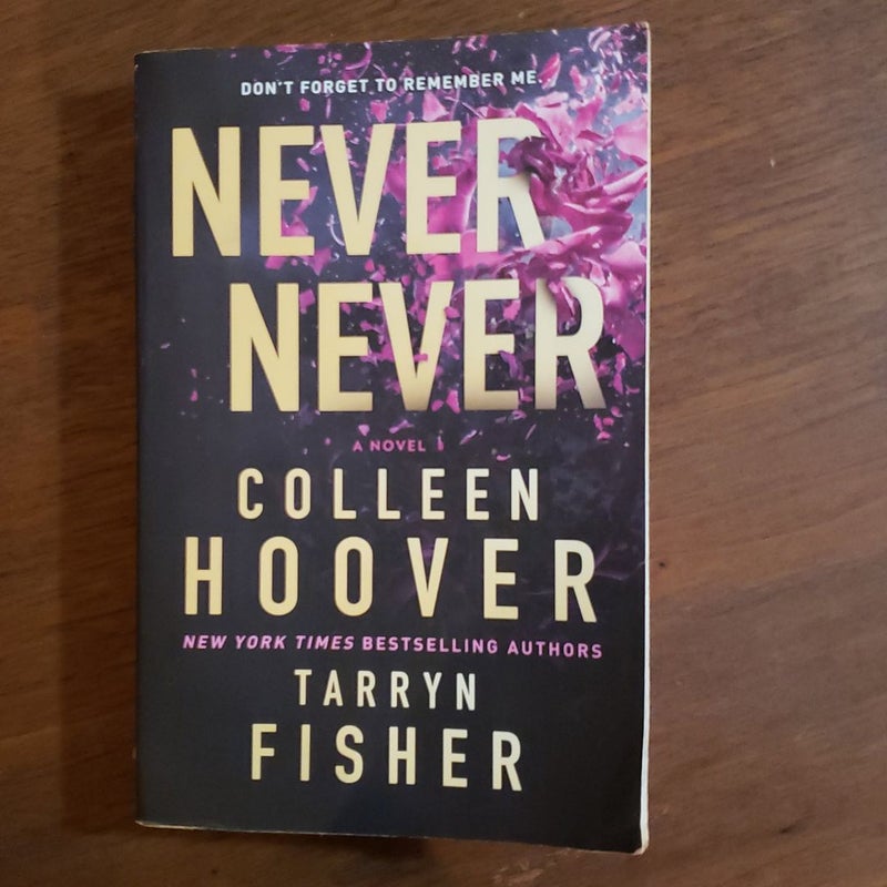 Never Never: Hoover, Colleen, Fisher, Tarryn: 9781506107158: :  Books