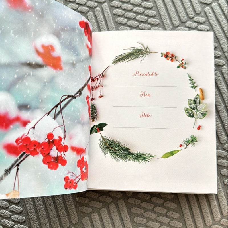 Jesus Calling for Christmas
