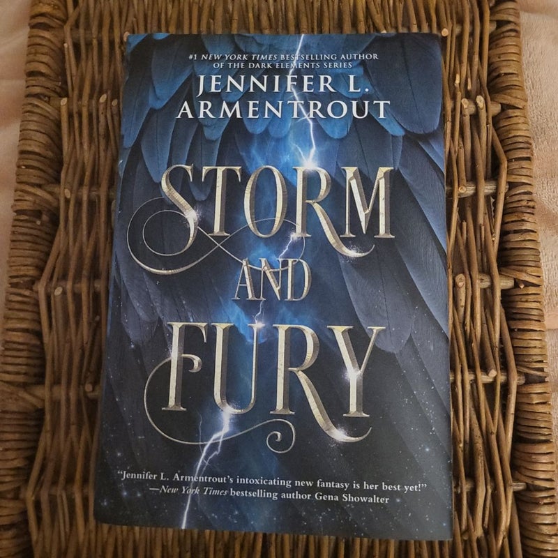 Storm And Fury