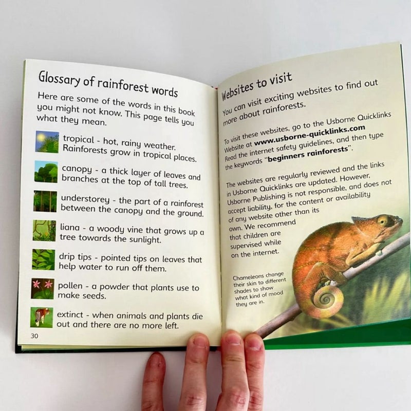 Usborne Rainforests, Usborne Beginners