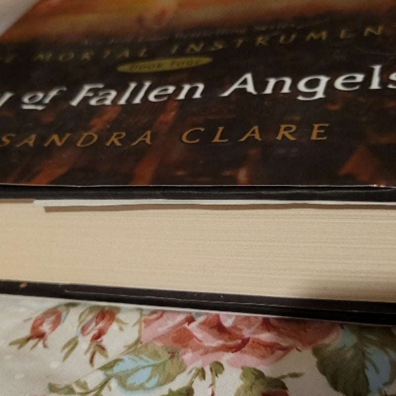 City of Fallen Angels